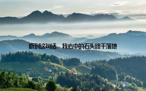 听到这句话, 我心中的石头终于落地