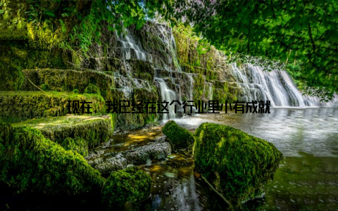 现在, 我已经在这个行业里小有成就