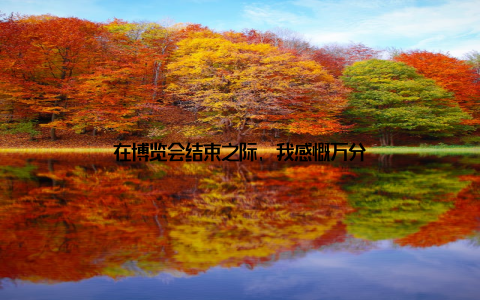 在博览会结束之际, 我感慨万分