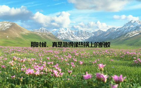 那时候, 真是急得像热锅上的蚂蚁