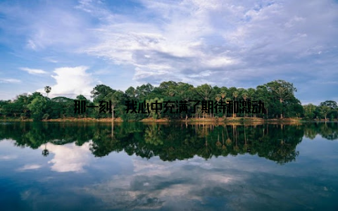 那一刻, 我心中充满了期待和激动