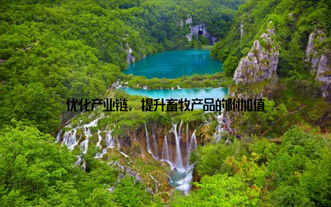 优化产业链, 提升畜牧产品的附加值